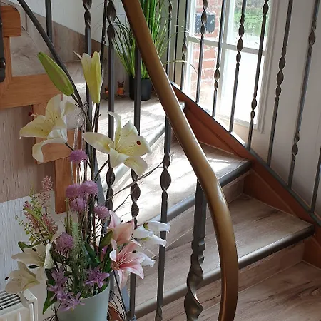 Πανσιόν Gaestehaus Strudthoff